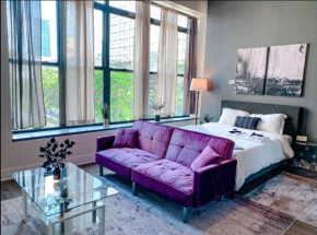 McCormick Place beautiful Studio with Optional parking and Gym access that sleeps up to 4